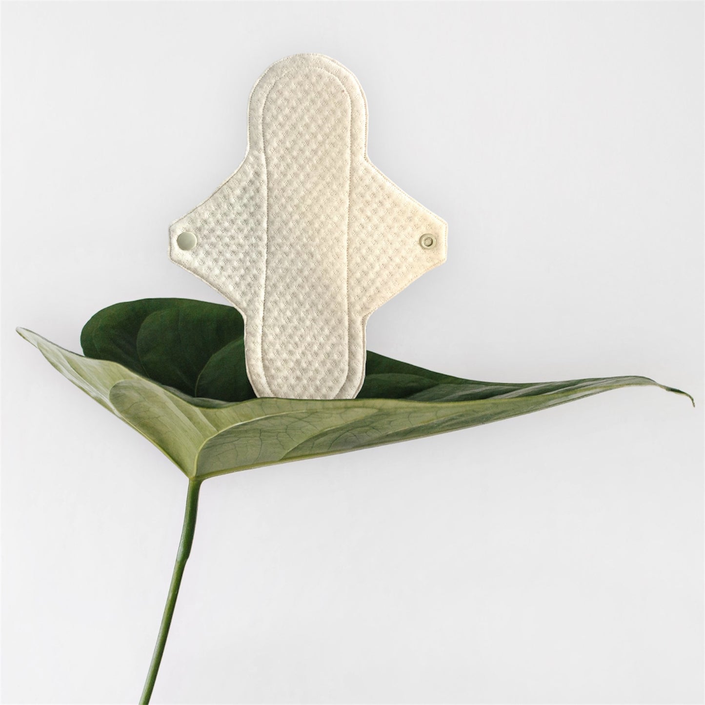 10 Inch Organic Cotton Pads